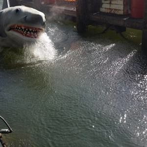 Meet your Posher, Steve